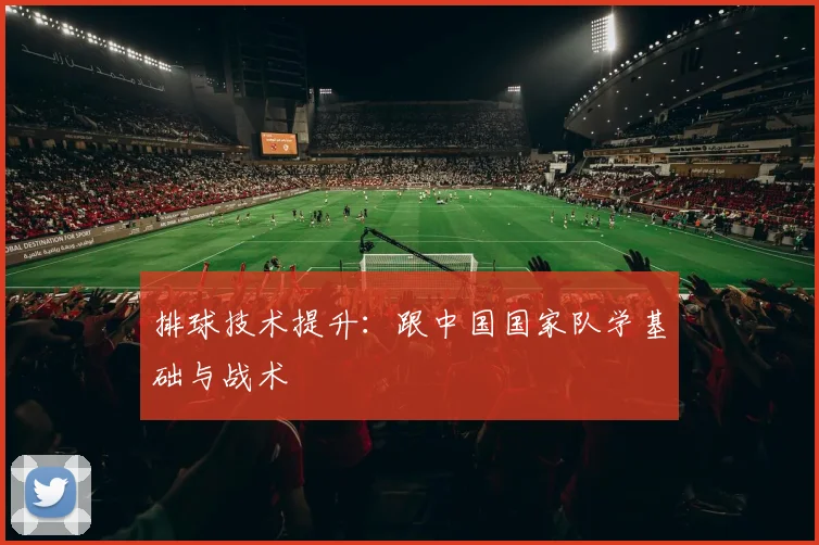 排球技术提升：跟中国国家队学基础与战术