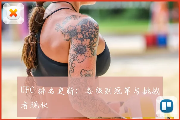 UFC 排名更新：各级别冠军与挑战者现状