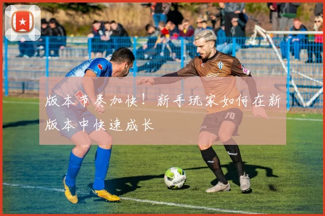 版本节奏加快！新手玩家如何在新版本中快速成长